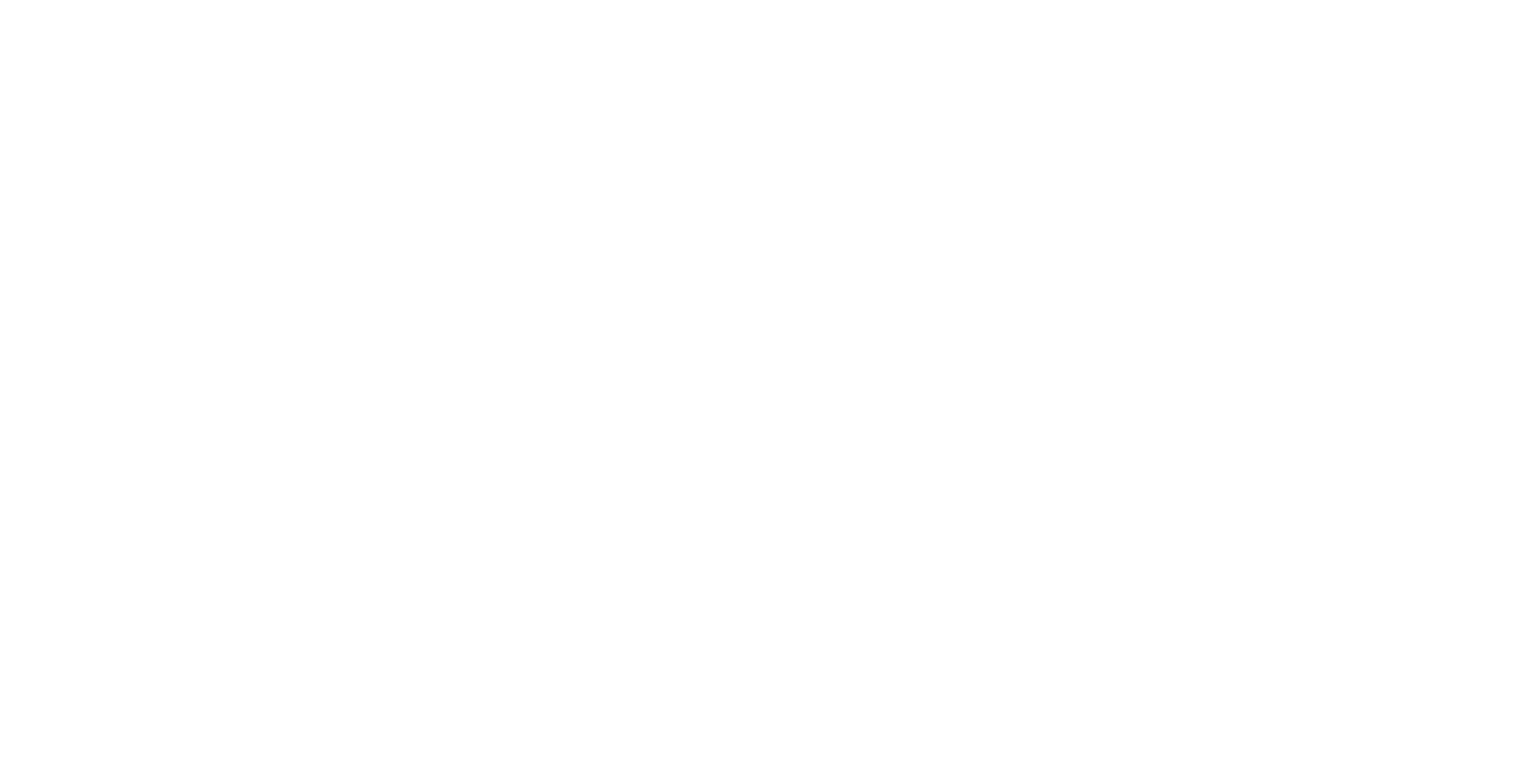 Montagna Servizi